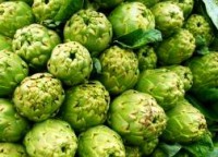 Alcachofa Tudela 6 unidades